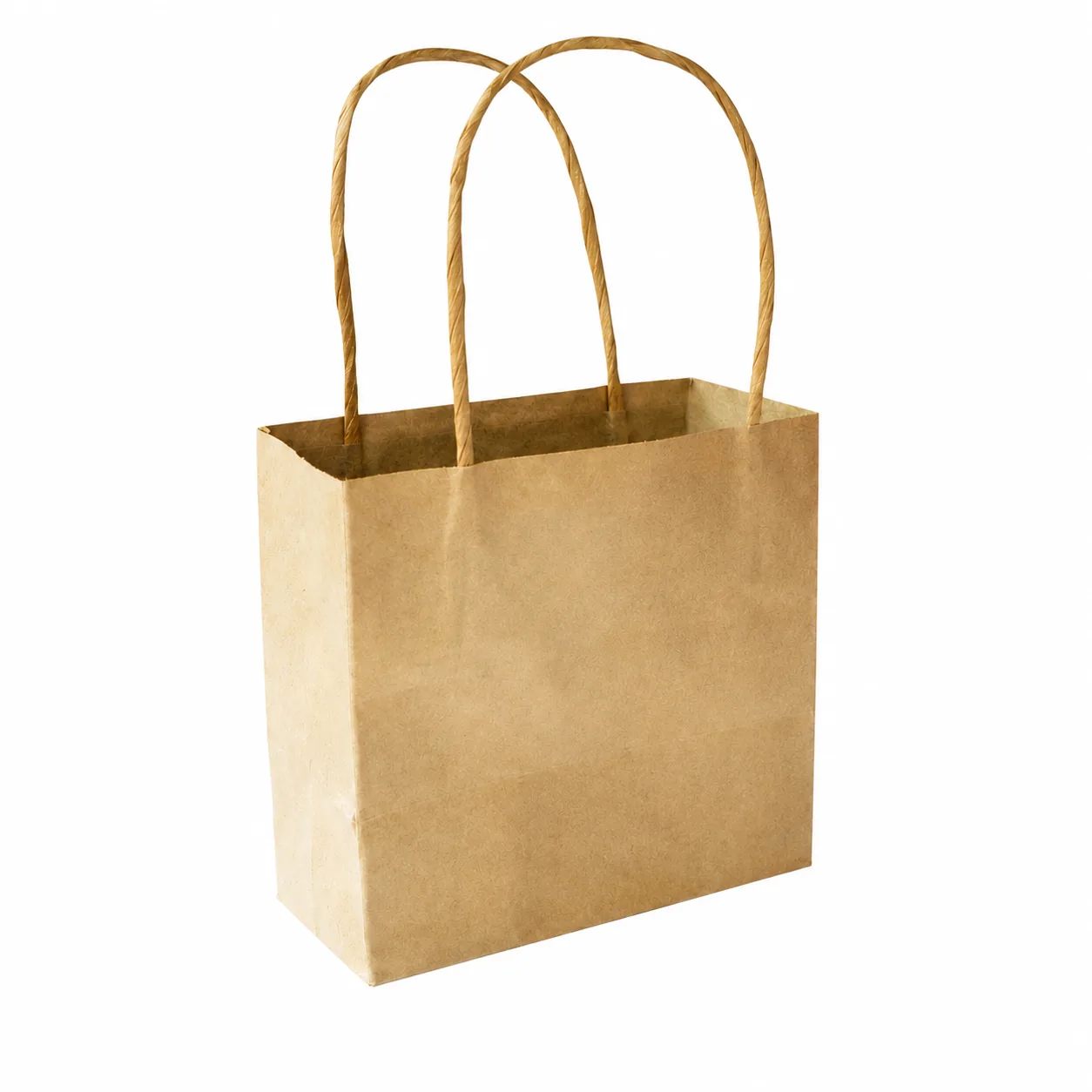 Kraft shopping bag with twisted rope handles